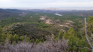 feature photo