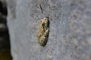 feature photo