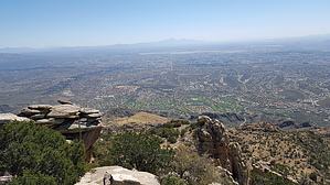 feature photo