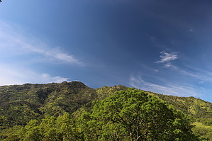 feature photo