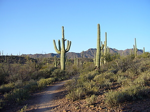 feature photo