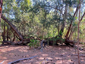 feature photo