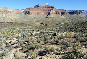 feature photo