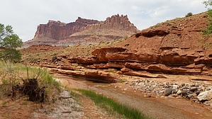 feature photo