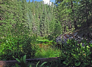 feature photo