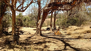 feature photo