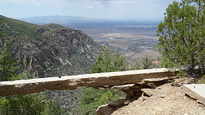feature photo