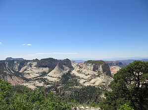 feature photo