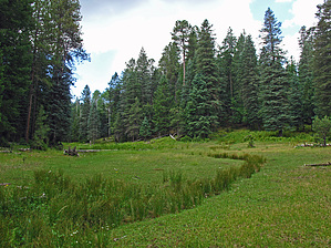 feature photo