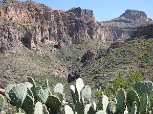feature photo