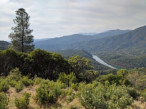 feature photo