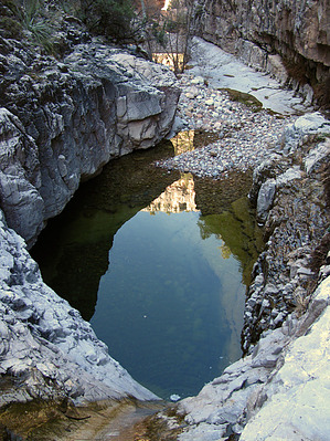 feature photo