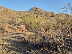 feature photo