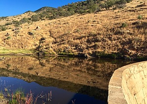 feature photo