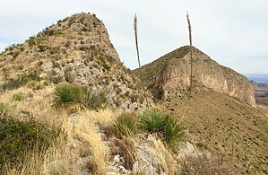 feature photo