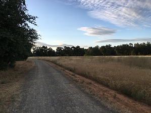 feature photo