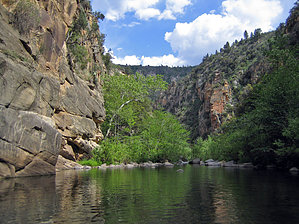 feature photo
