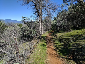 feature photo
