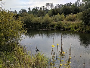 feature photo