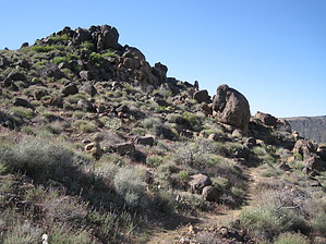 feature photo