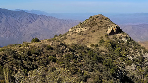 feature photo