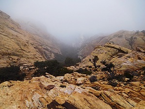 feature photo