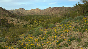 feature photo