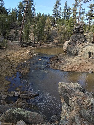 feature photo
