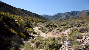 feature photo