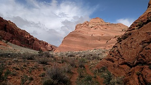 feature photo
