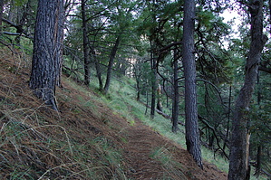 feature photo