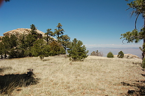 feature photo