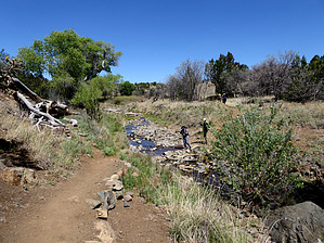 feature photo