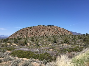 feature photo