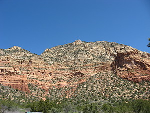 feature photo
