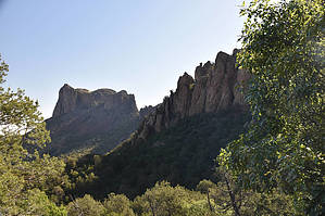 feature photo