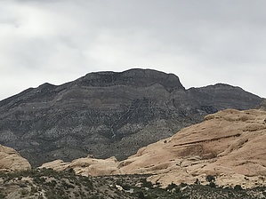 feature photo