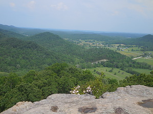 feature photo