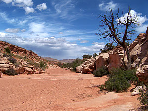 feature photo