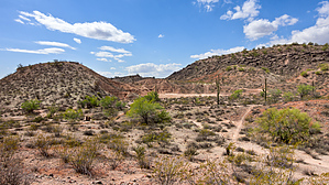 feature photo