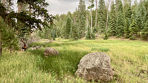 feature photo
