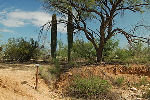 feature photo