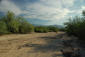 feature photo