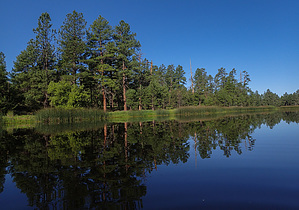 feature photo