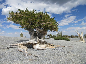 feature photo