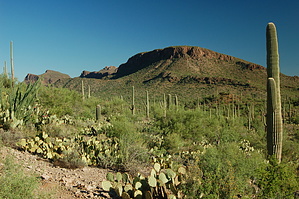 feature photo