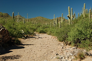 feature photo