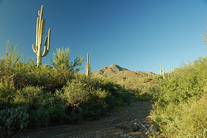 feature photo