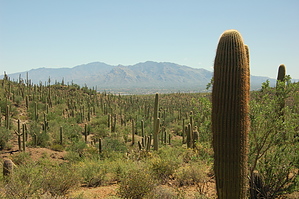 feature photo