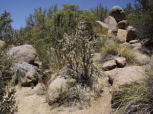 feature photo